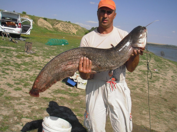 P6140097 - Pescuit la Dunare