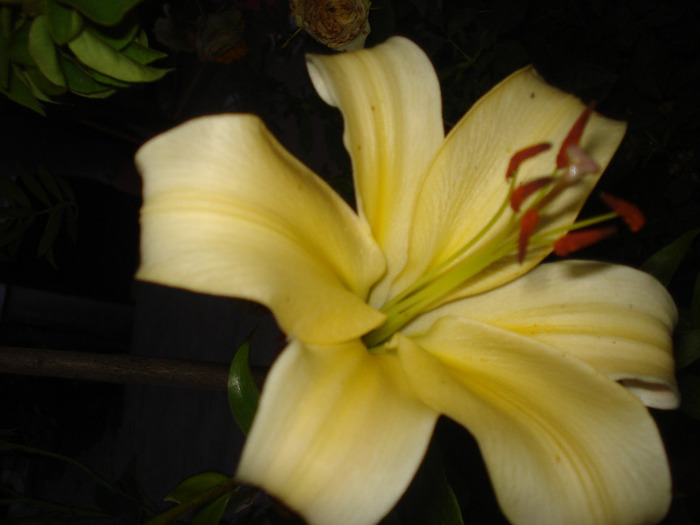 DSC09659