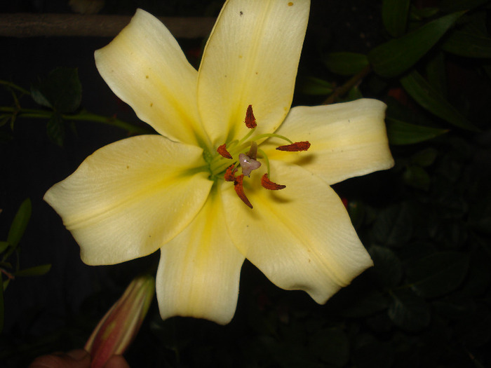 DSC09660