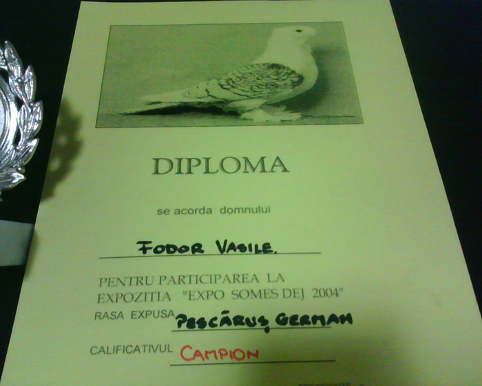 IMG0213A - CUPELE SI DIPLOMELE