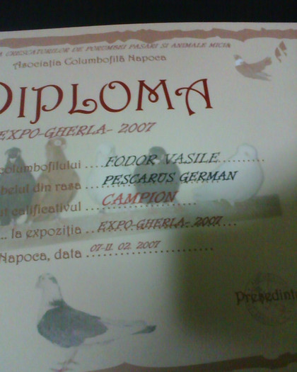 IMG0215A - CUPELE SI DIPLOMELE