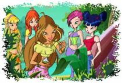 Au mers fetele  cat au mers,pana au dat de o pestera - povestea winx