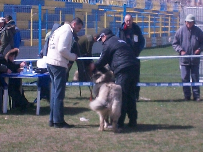 Lara de dumbravita expo brasov