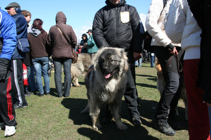 IMG_4481 - Expo Brasov Excelent 3