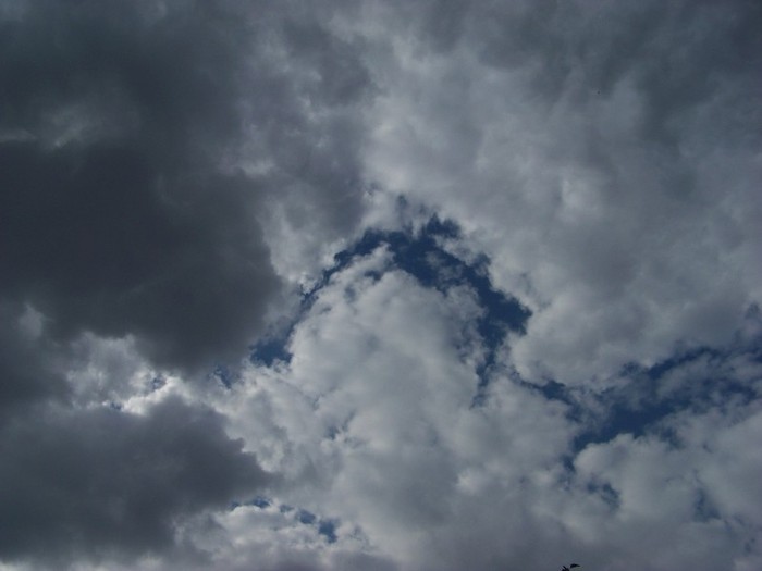 100_9659 - Iunie 2  2011