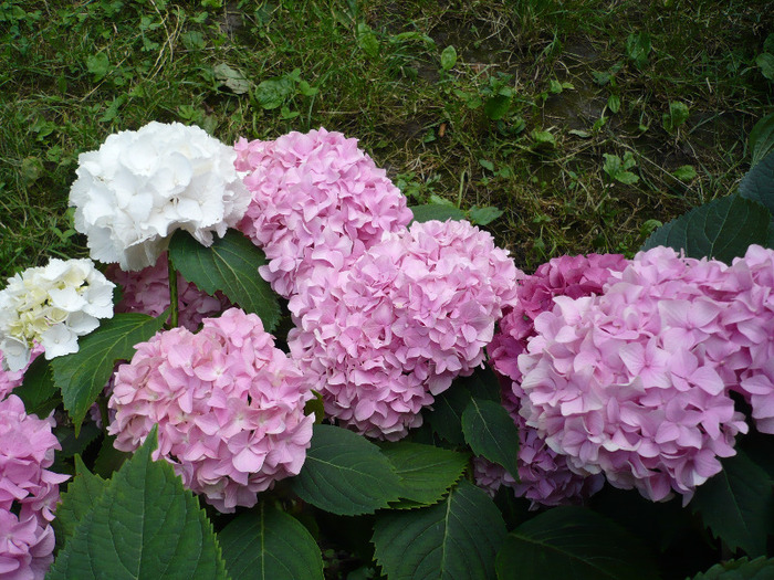 032