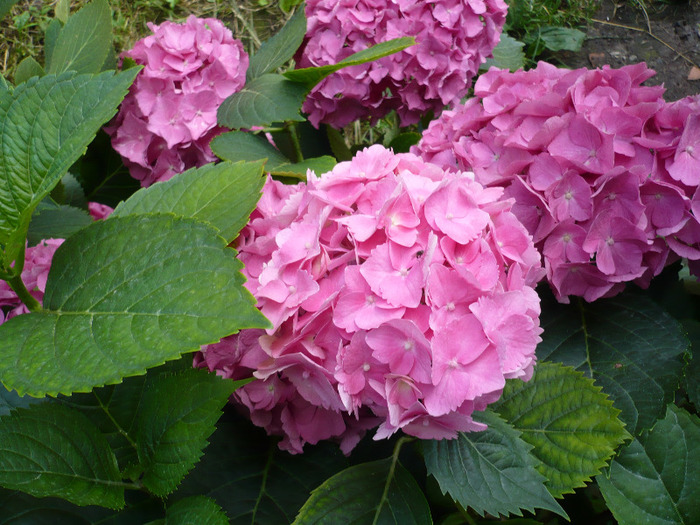 034