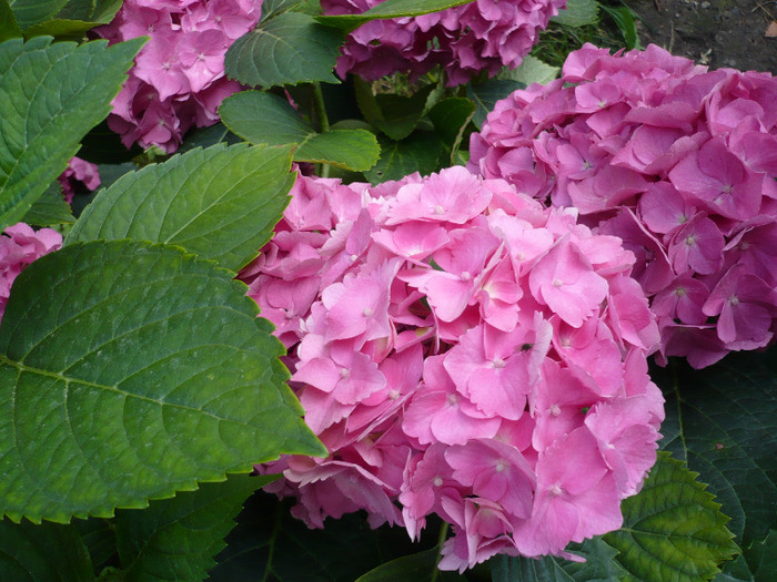 035