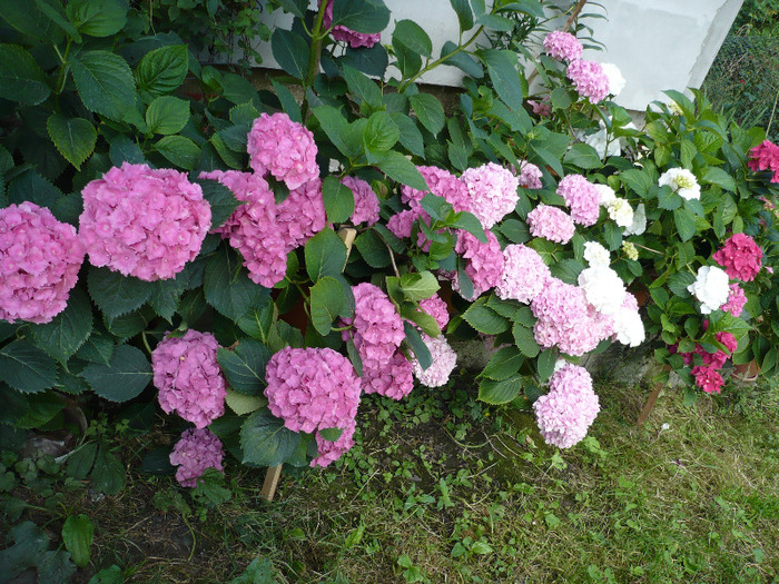 041