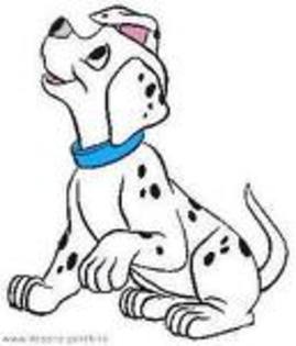 121 - poze dalmatienii