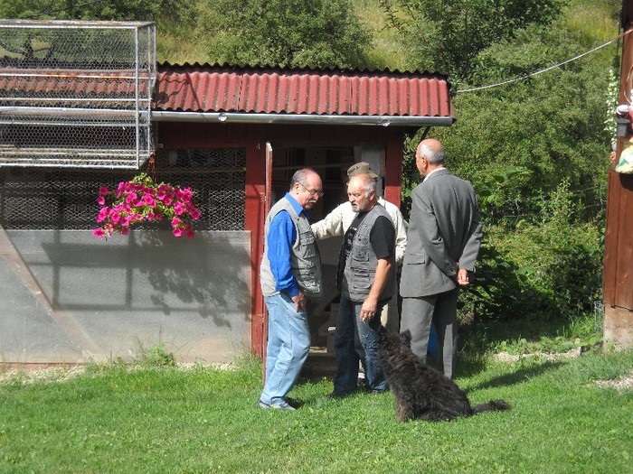 Ma,sa nu inghete apele.......