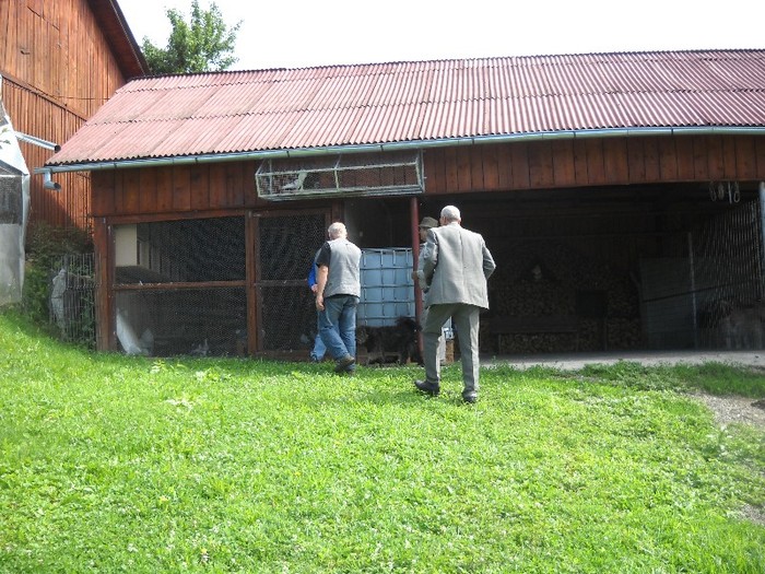 "batranii" spre........tineret.