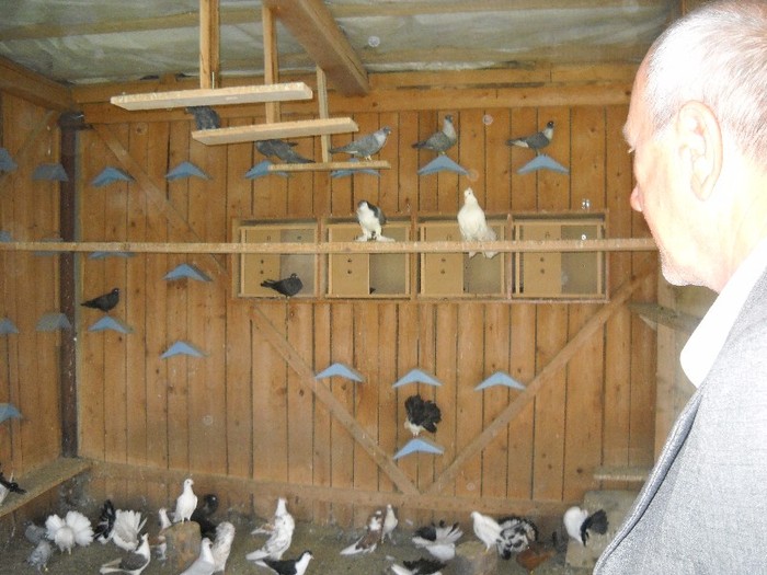 ......si nu prea....