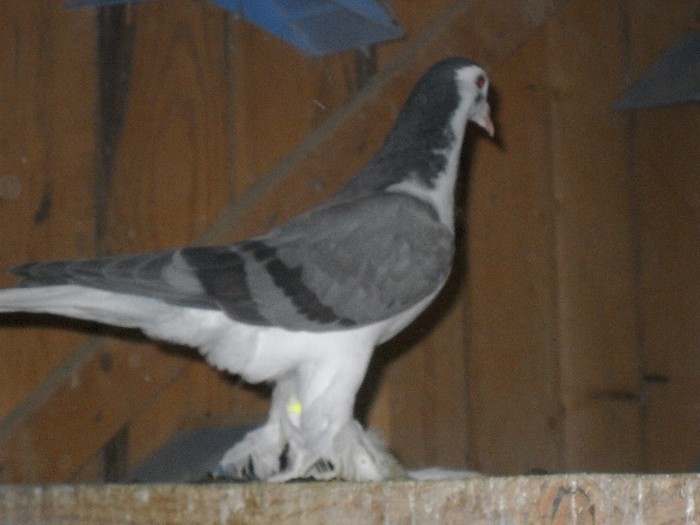 Ati ramas interzisi, nu-i asa?