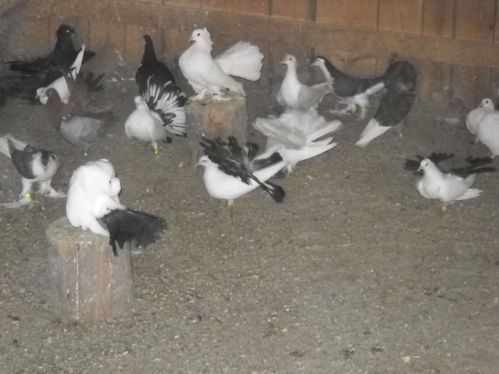 La noi ca la nimeni....