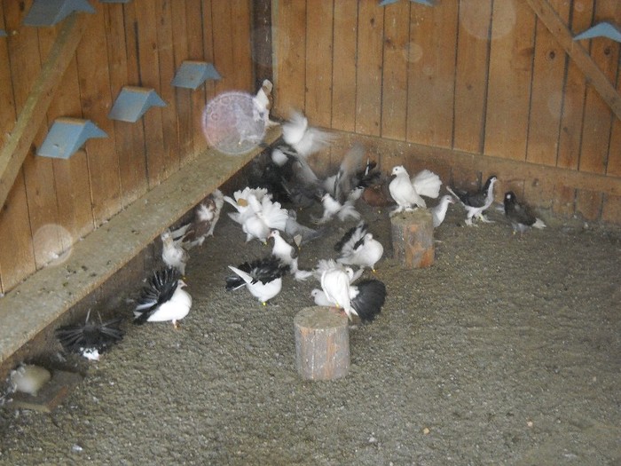 Mai mare dragul sa traiesti aici.