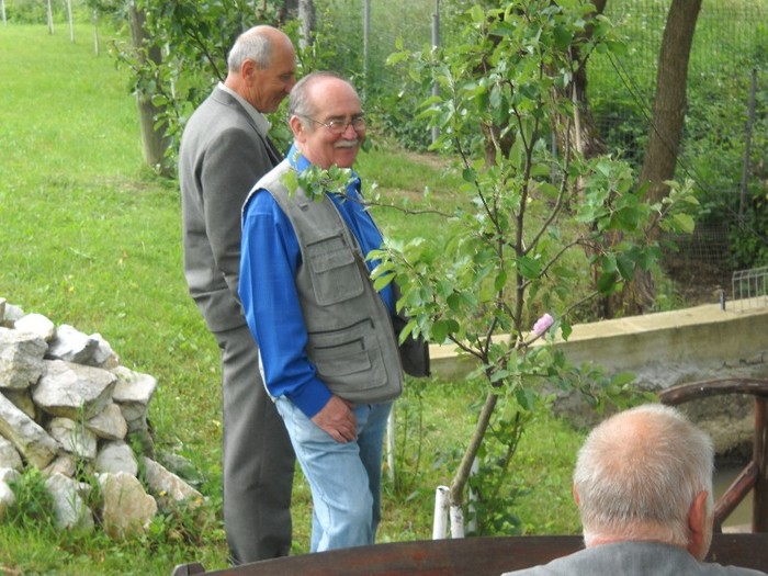 Ma.... nu ma aburiti cu pestii!!!