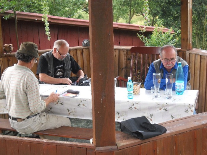 Financiarul, presedintele si cenzorul - FERMA LEONTE 2011 VARA