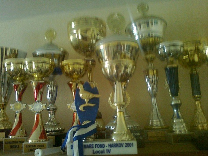 I - trofee