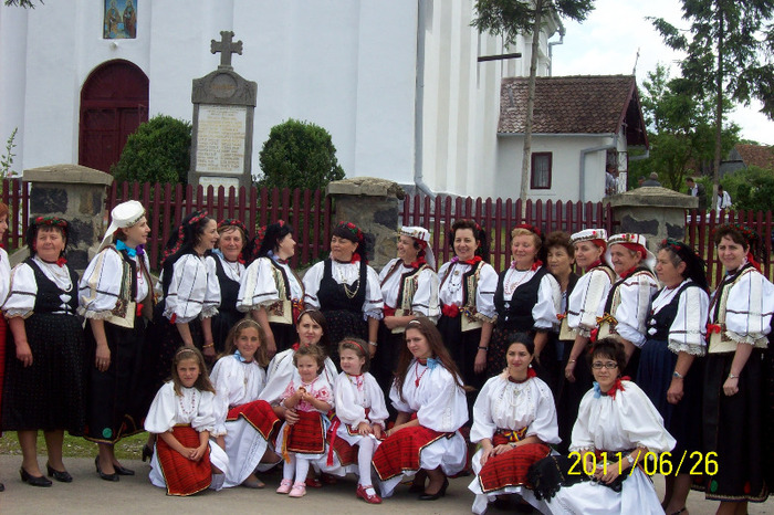 101_9734 - Tarnosirea BISERICII din PALOS-ARDEAL 2011