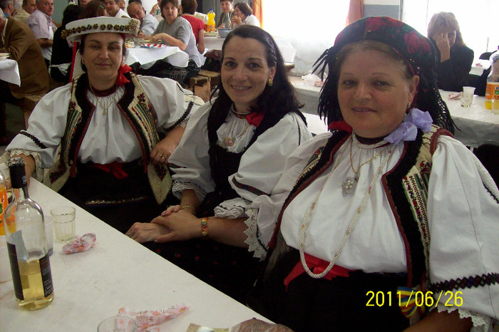 101_9784 - Tarnosirea BISERICII din PALOS-ARDEAL 2011