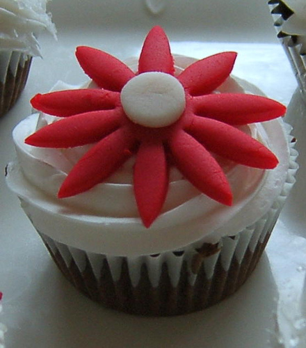 cupcake - Cupcake