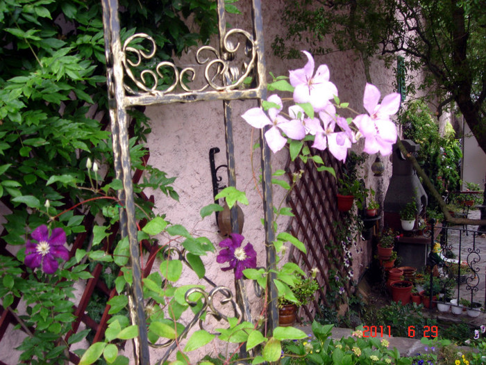 DSC00405 - Vara 2011