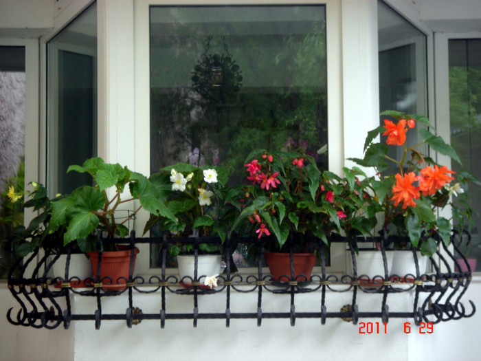 DSC00420 - Vara 2011