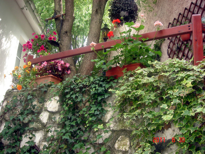 DSC00524 - Vara 2011