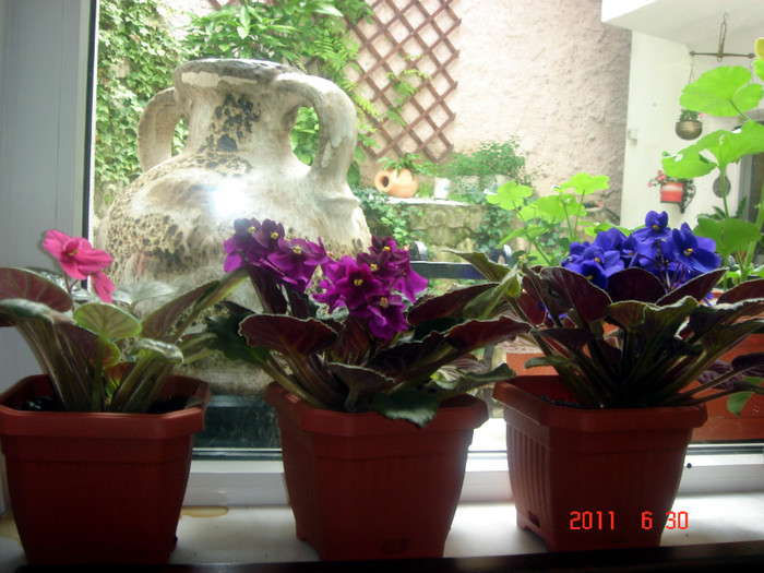 DSC00526 - Vara 2011