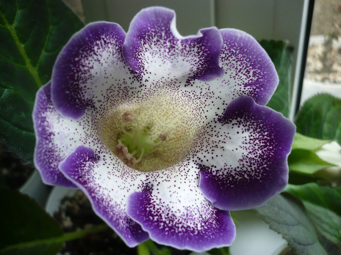 P1080234