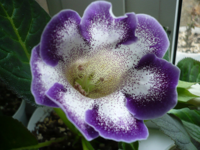 P1080235