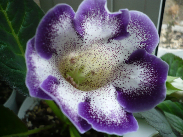 P1080236