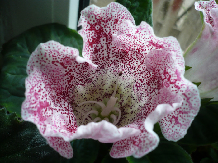 P1080241