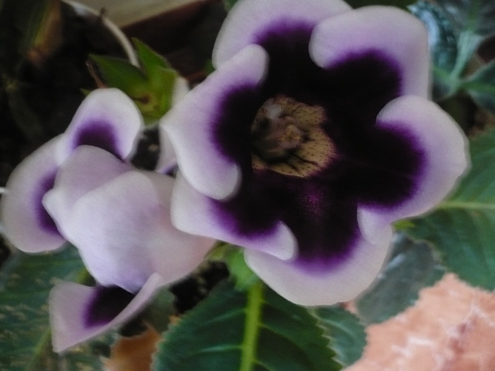 P1080287