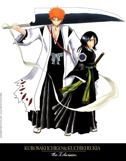 1167694915_ichigo and rukia - Kurosaki Ichigo