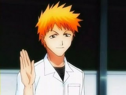 bleach_ichigo0124