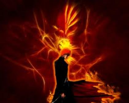 images (24)