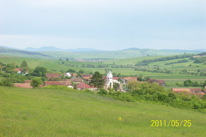 101_9068  Biserica si satul, vazute de pe dealul bisericii.