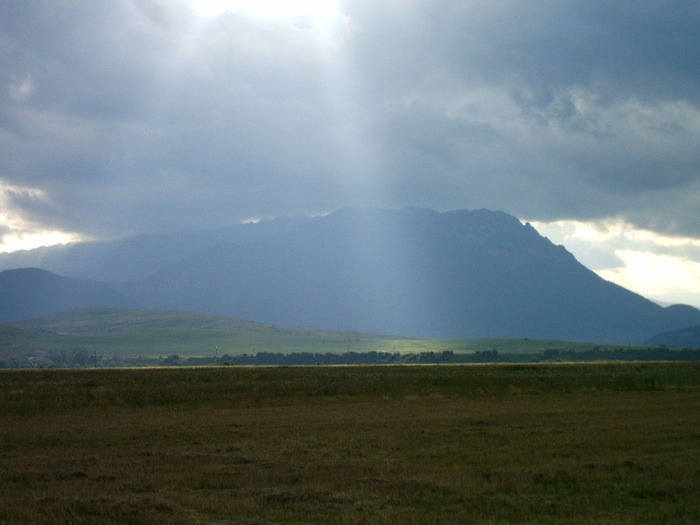 IMAG0019 (2) - Diverse poze