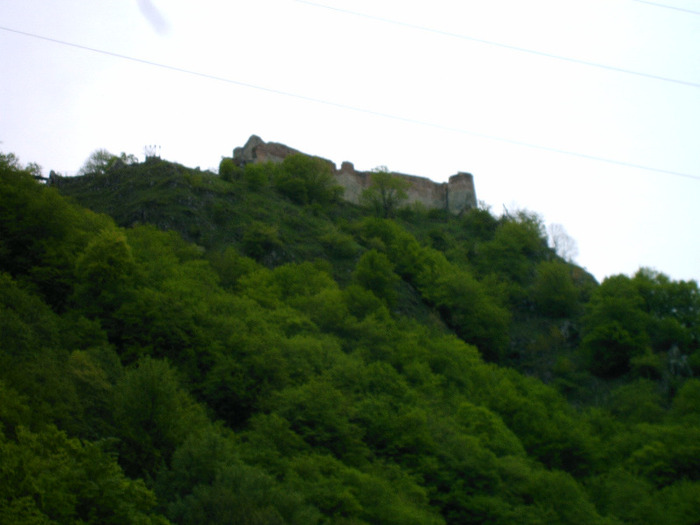 IMAG0037 - Diverse poze