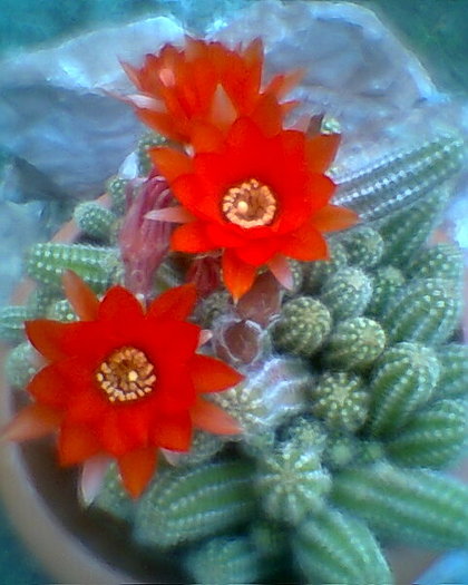 Fotogr.0407