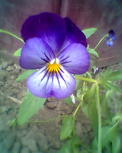Fotogr.0413