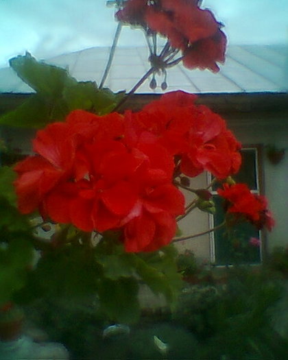 Fotogr.0415