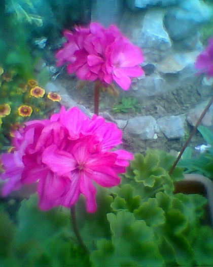 Fotogr.0414