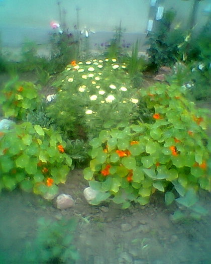 Fotogr.0420