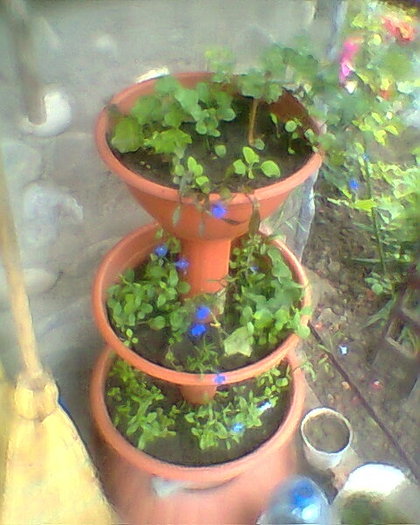 Fotogr.0421