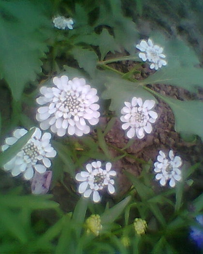 Fotogr.0426