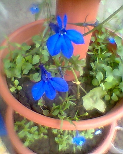 Fotogr.0436