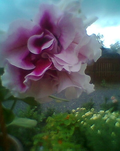 Fotogr.0457